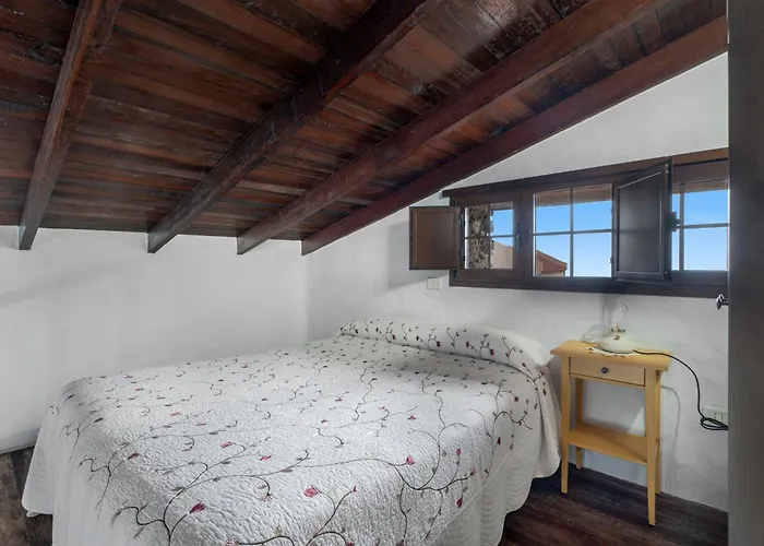 Tesbabo Rural - Mimo *