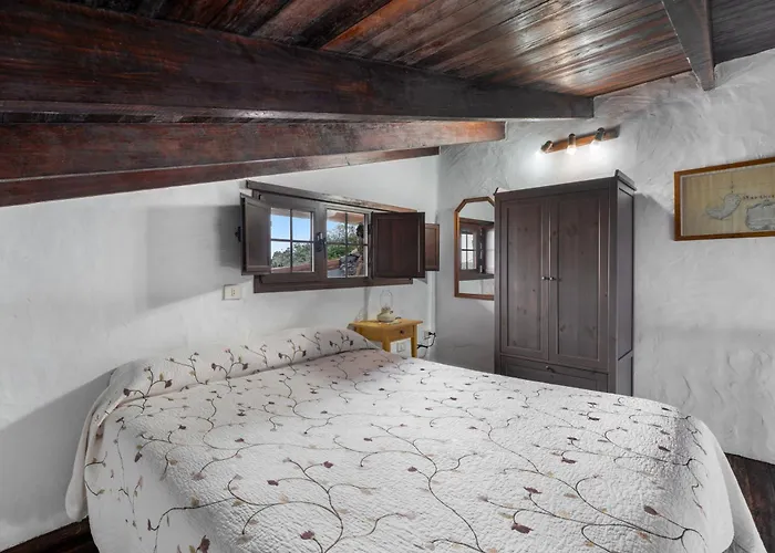 Tesbabo Rural - Mimo * モカナル